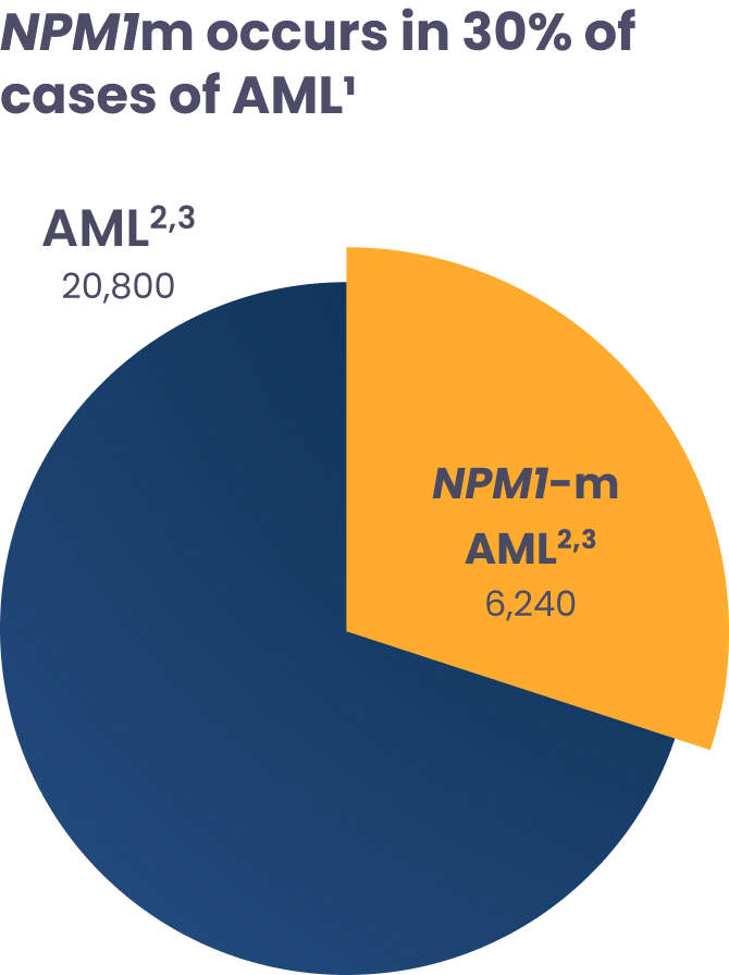 Pie chart showing estimated new cases of AML